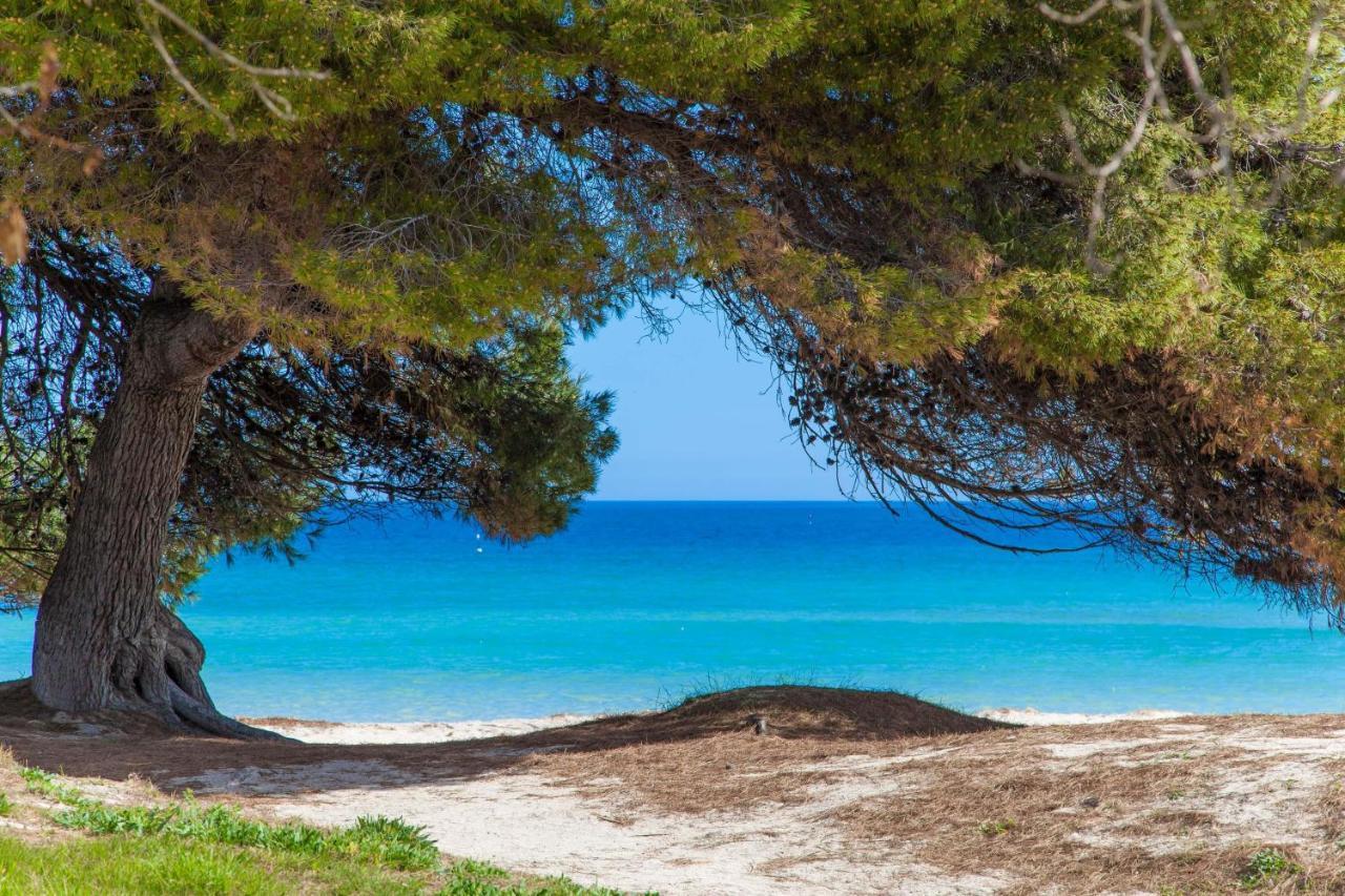Violeta De Mar Villa Playa de Muro  Eksteriør billede